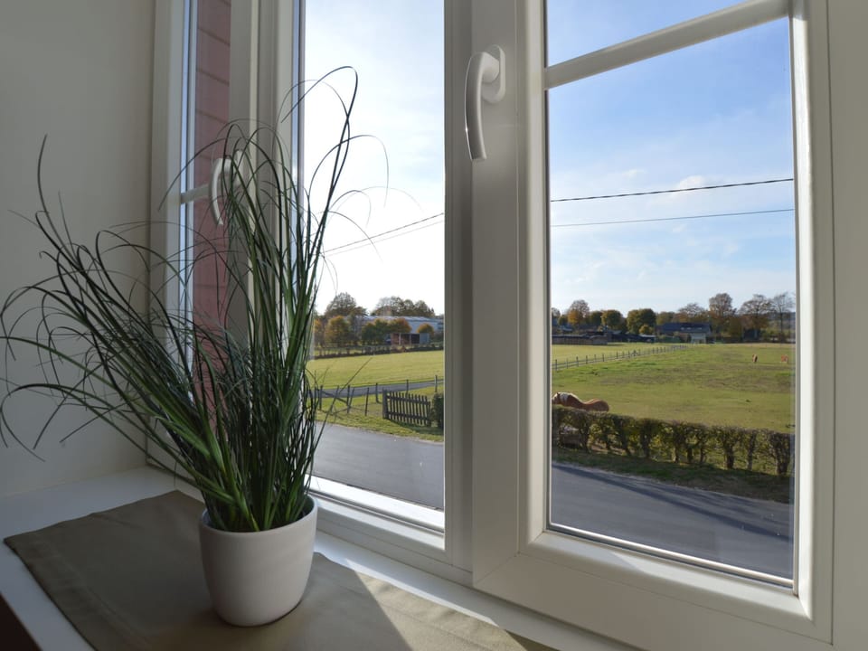 House | View from property