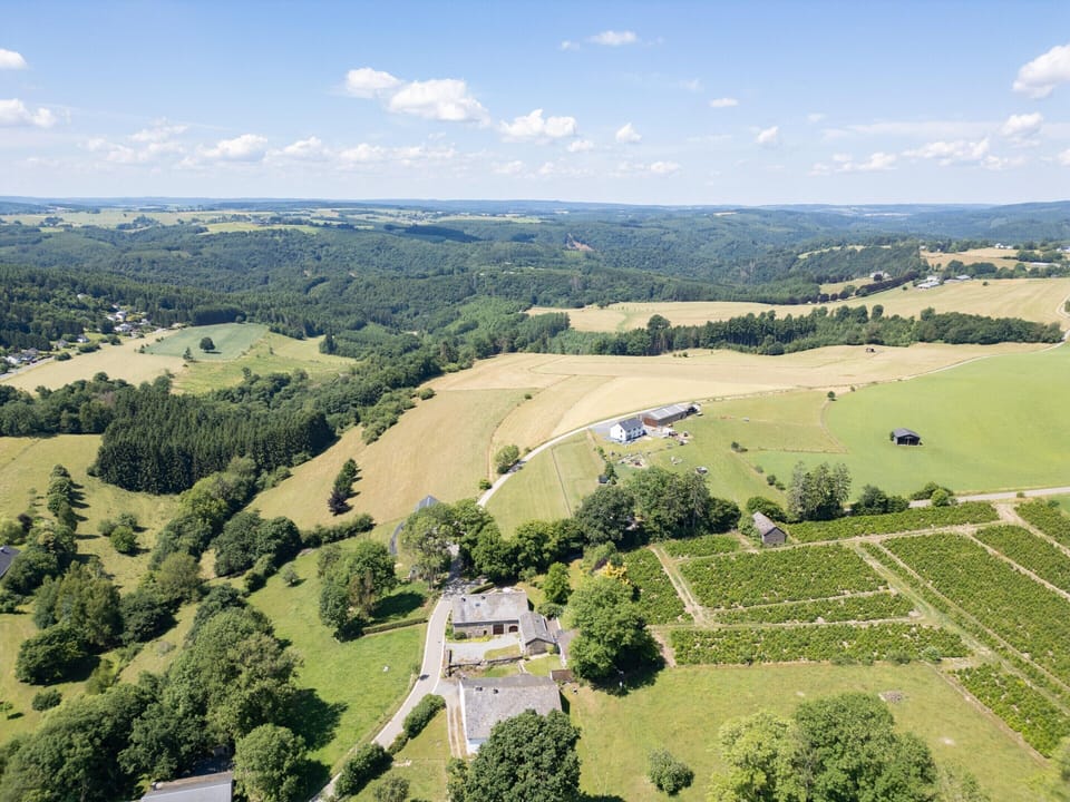 House | View from property