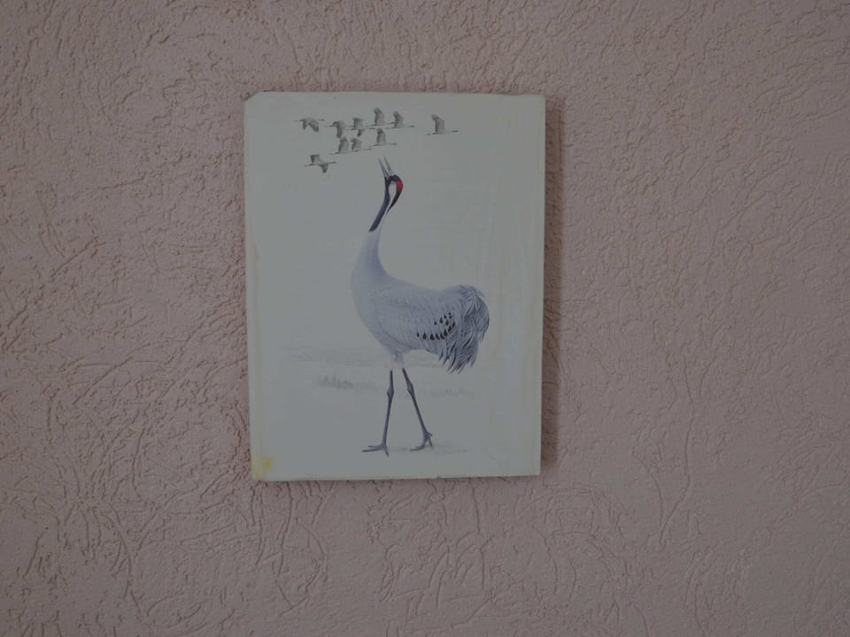 House | Interior detail