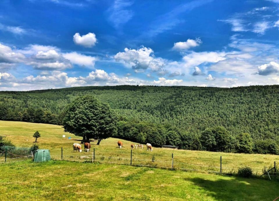 House | View from property