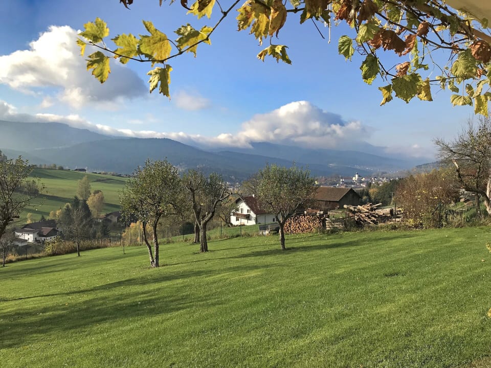 House | Garden