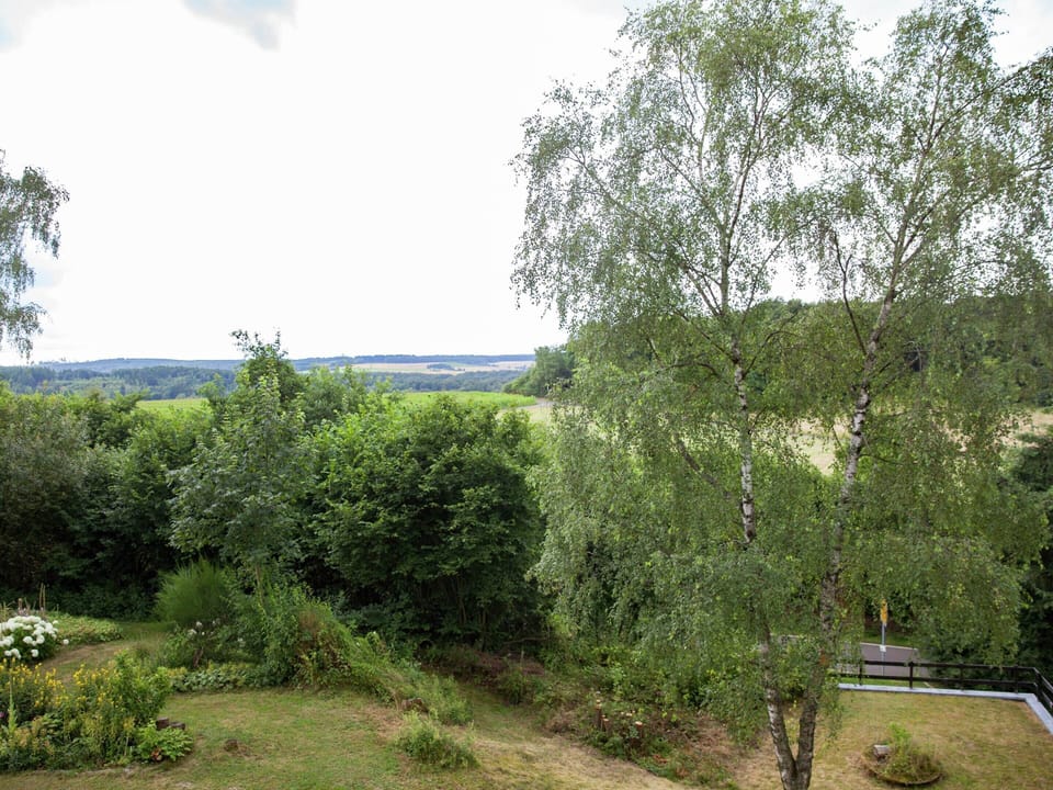House | View from property