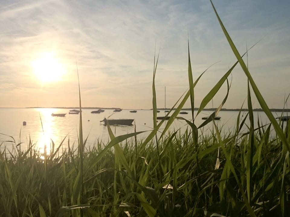 House | View from property