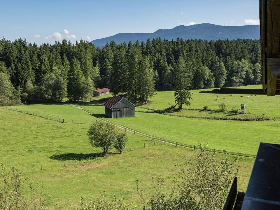 House | View from property