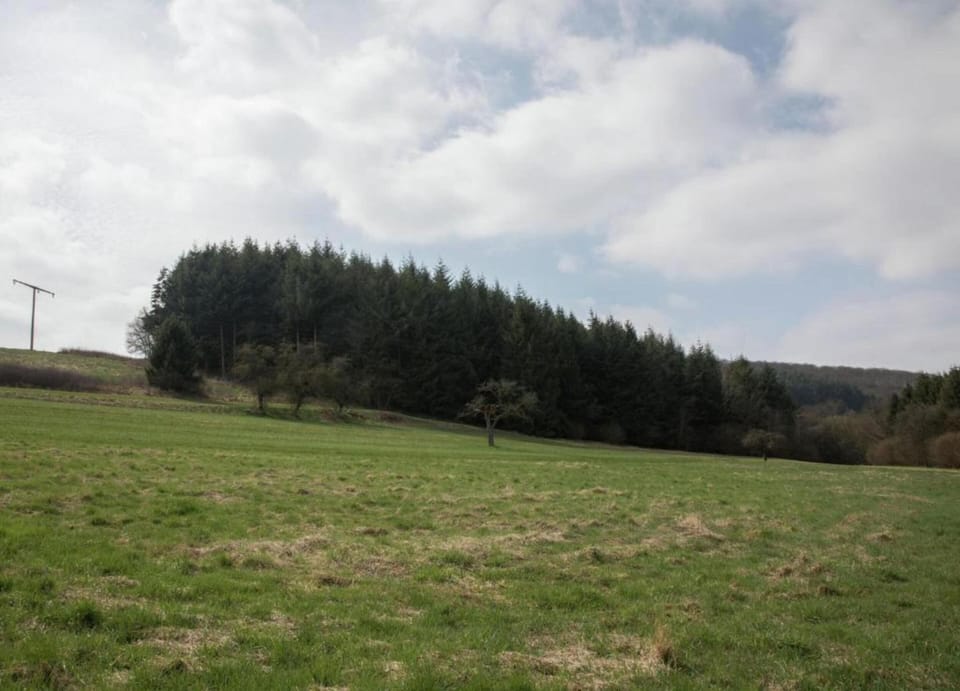 House | View from property
