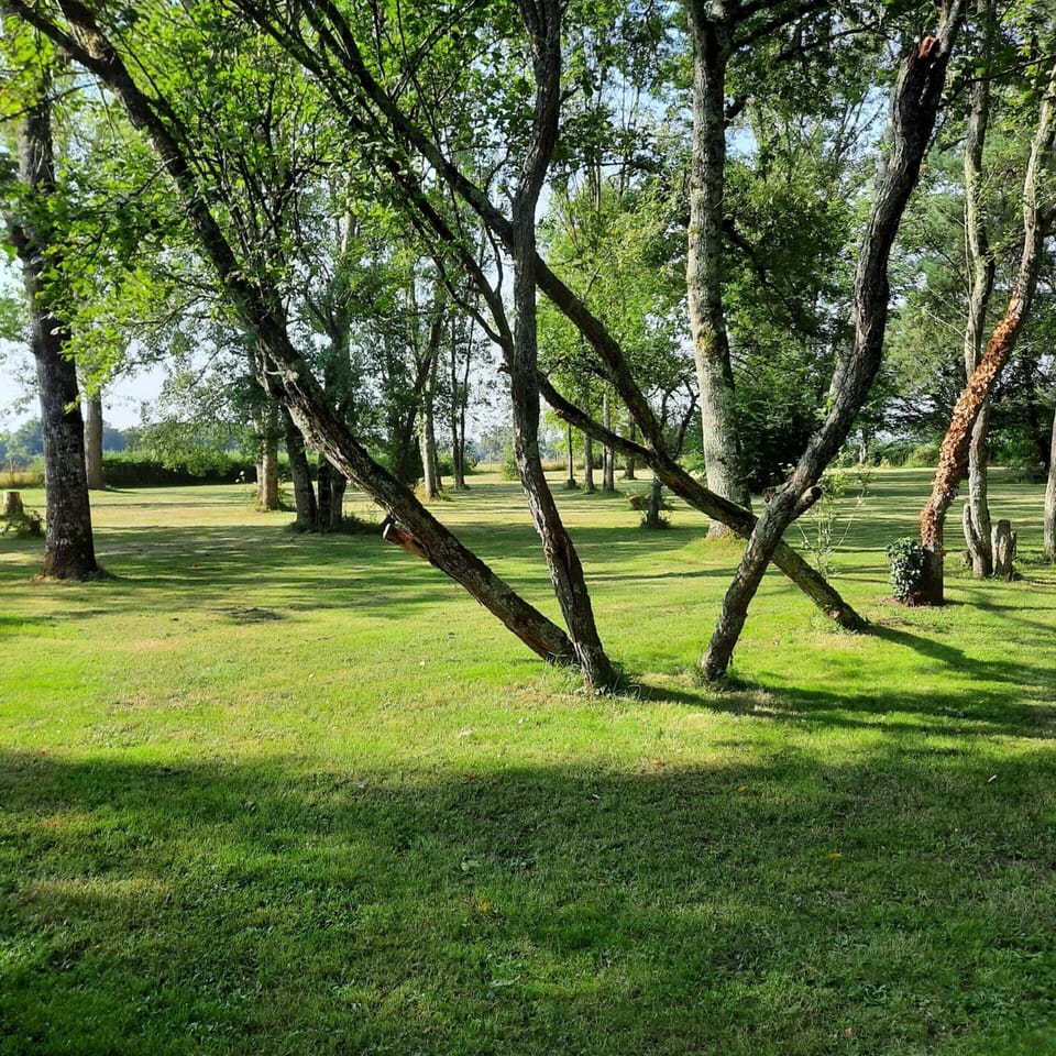 House | Garden