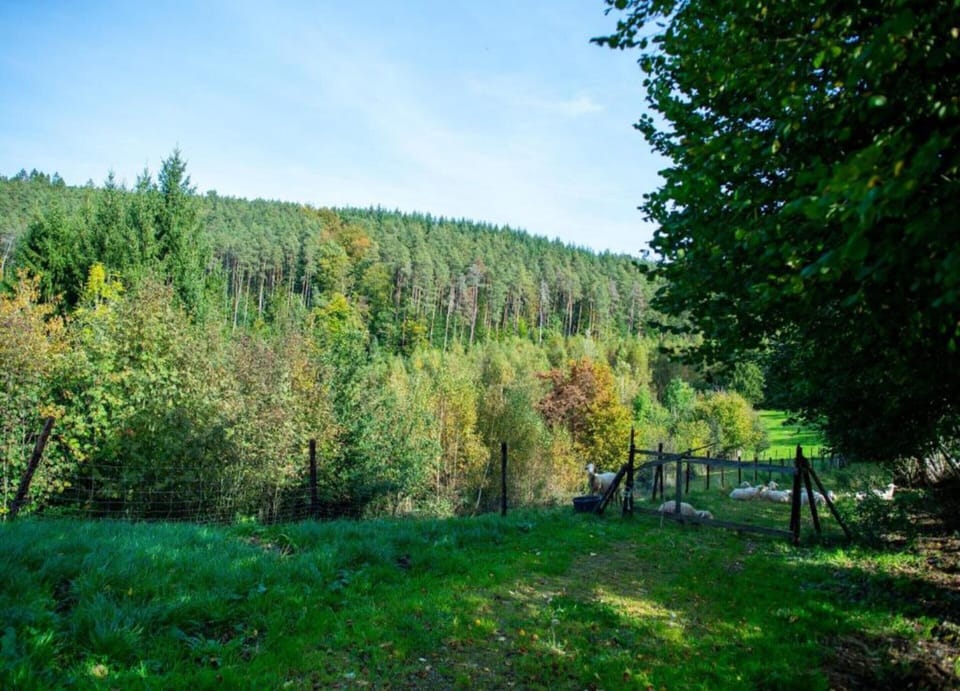 House | View from property