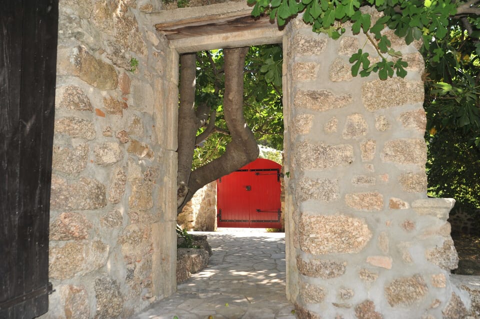 House | Garden