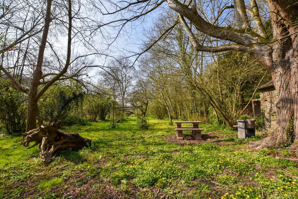 House | Garden