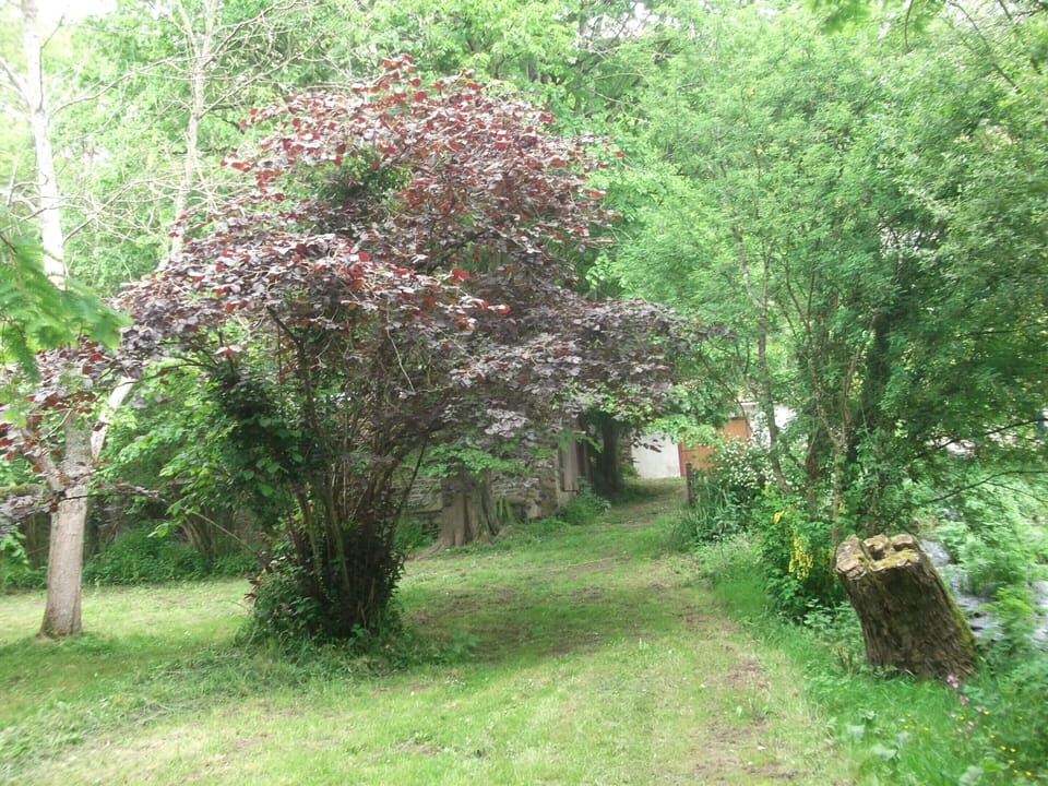 House | Garden