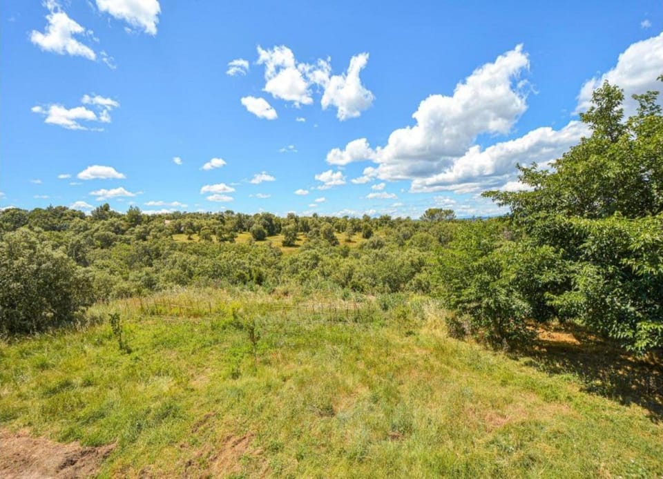 House | View from property