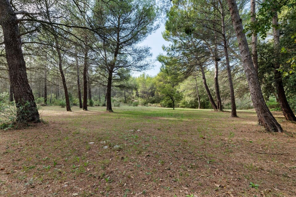 House | View from property