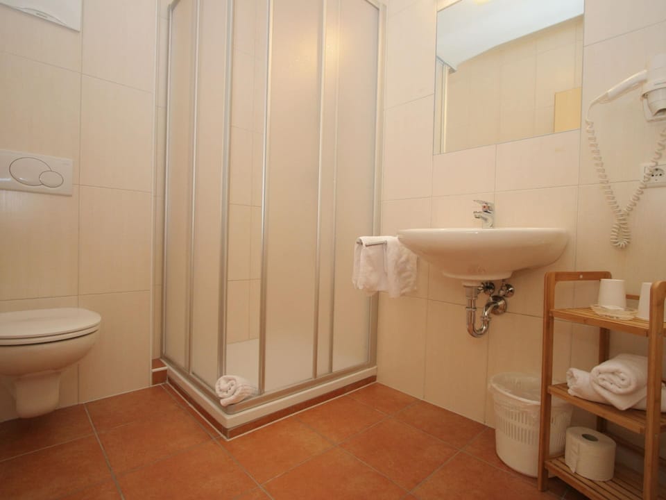 Stylish Flats in Uderns Near Ski Lift Apartment in Uderns