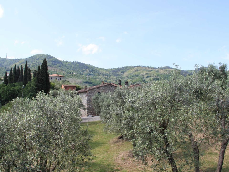 House | Garden