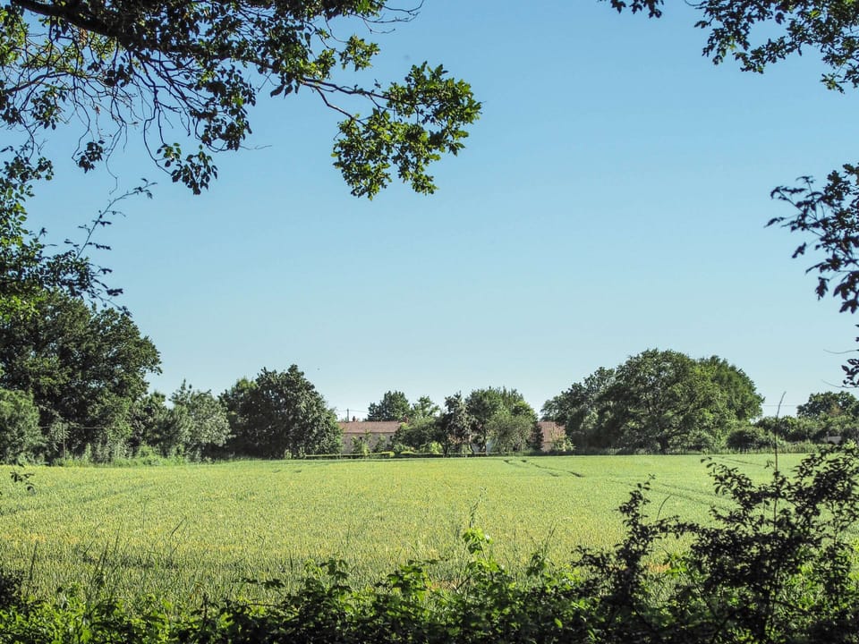 House | View from property