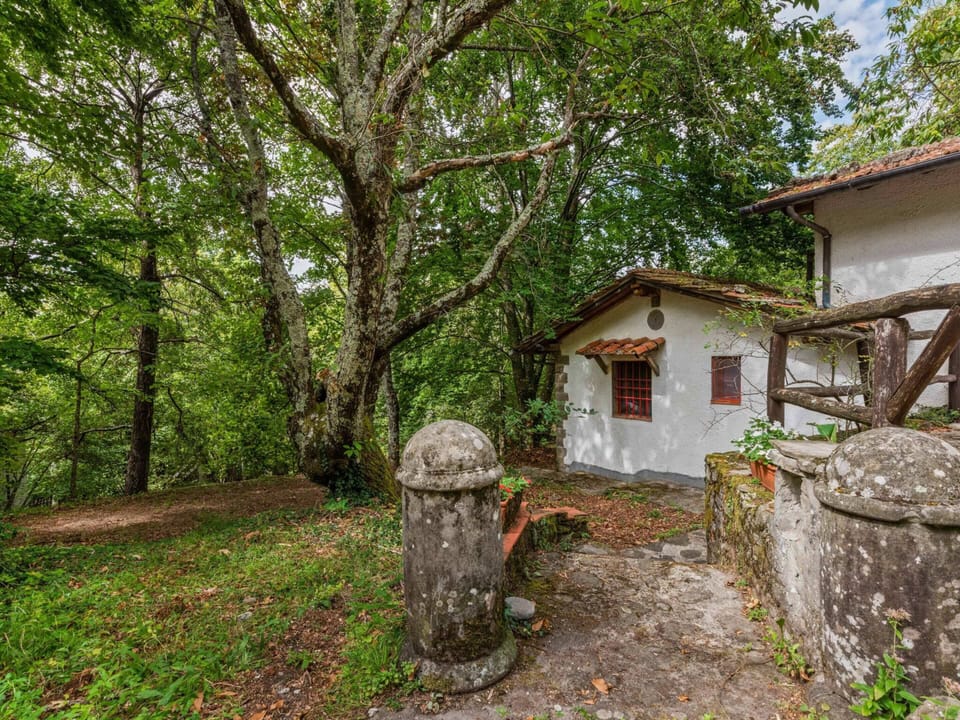 House | Garden