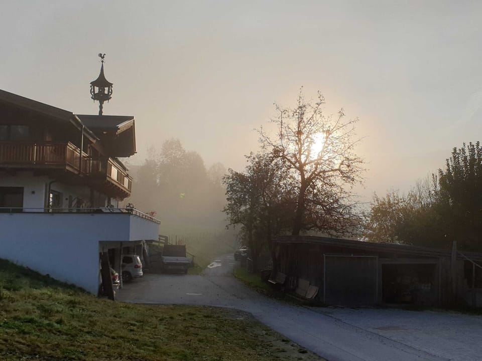 Apartment | View from property