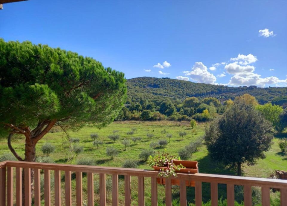 House | View from property