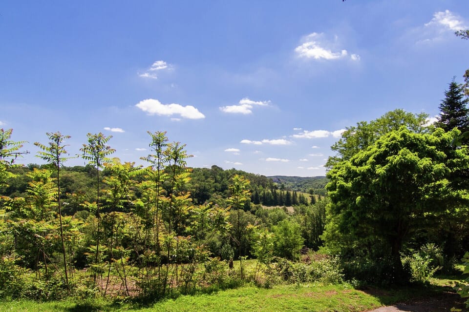 House | View from property