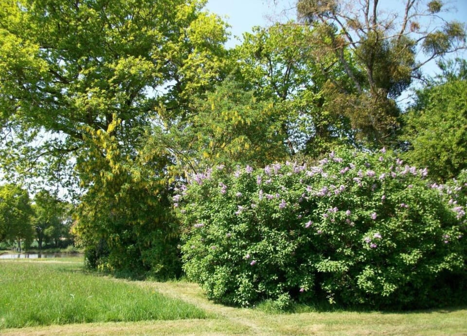 House | View from property