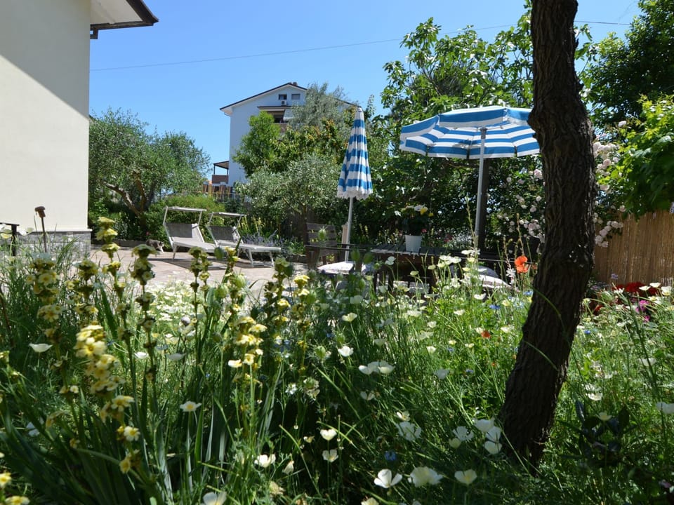 Apartment | Garden