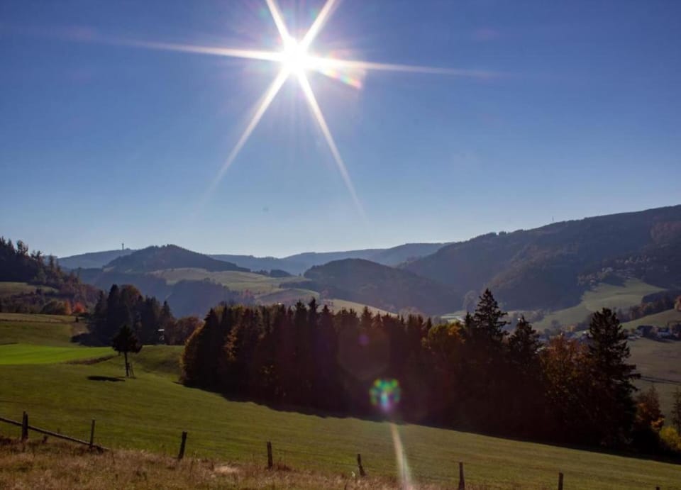 Apartment | View from property