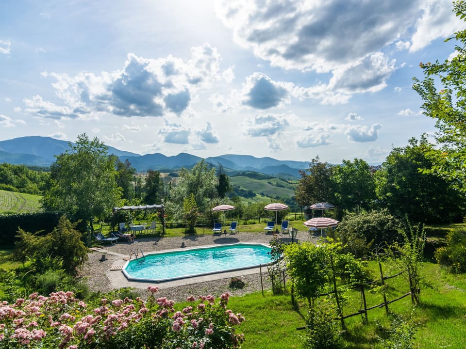 House | Pool | Outdoor pool