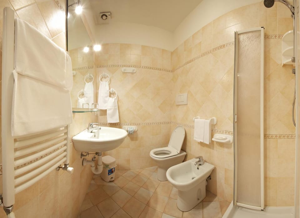 Shower, free toiletries, hair dryer, bidet