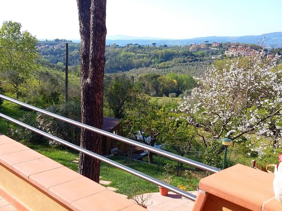 House | View from property