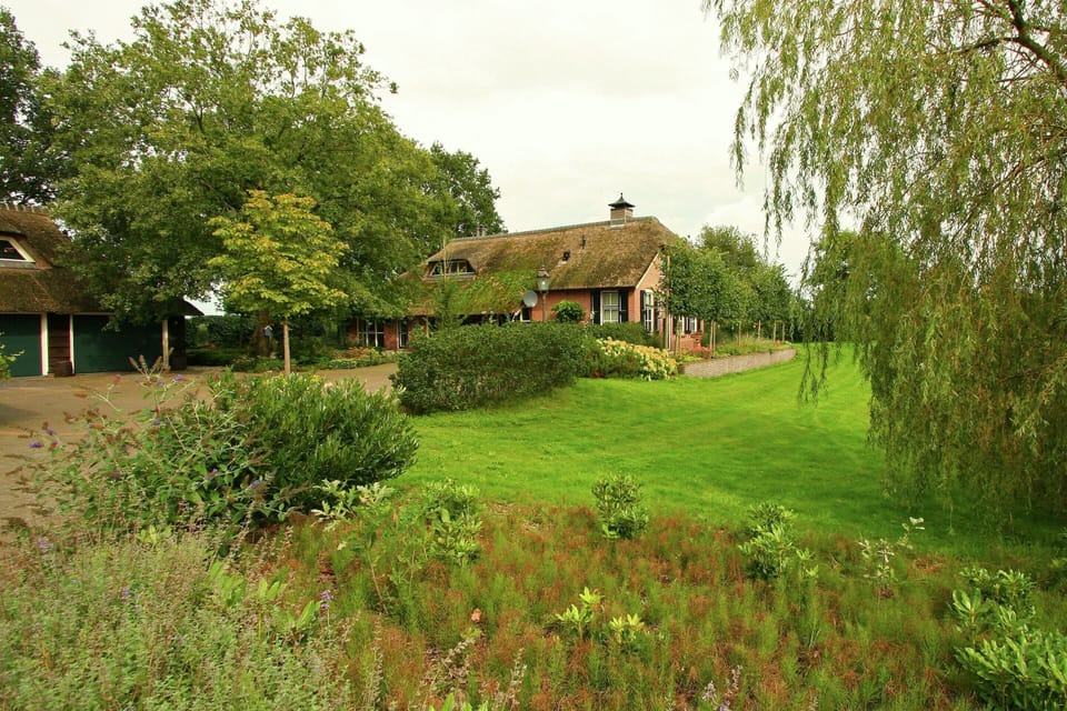 House | Garden