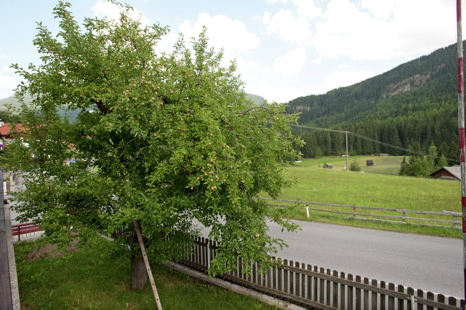 House | Garden