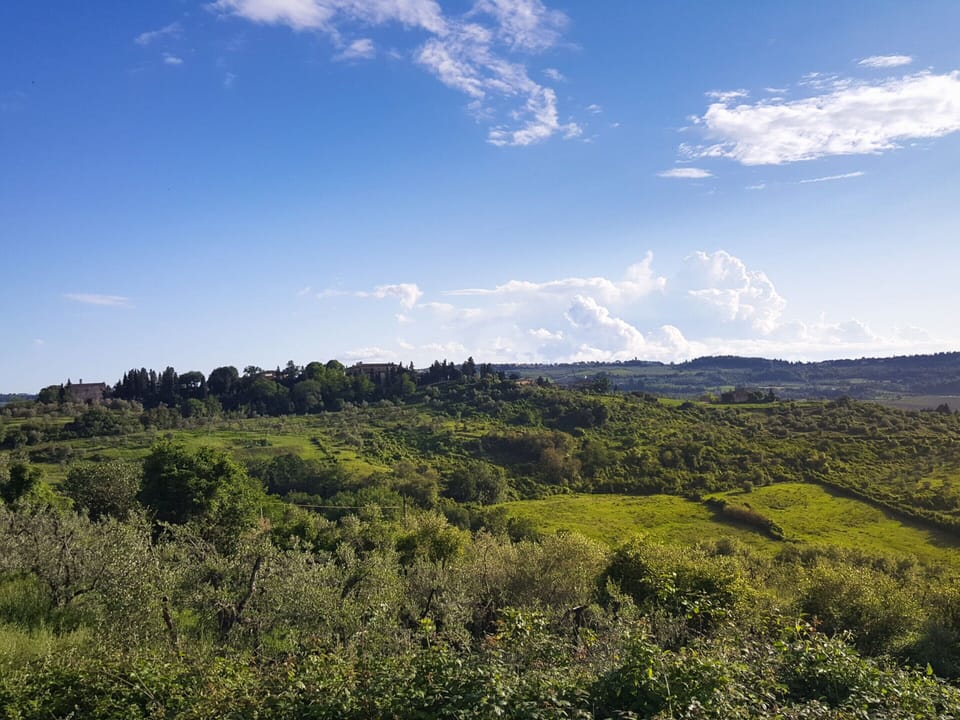 House | View from property