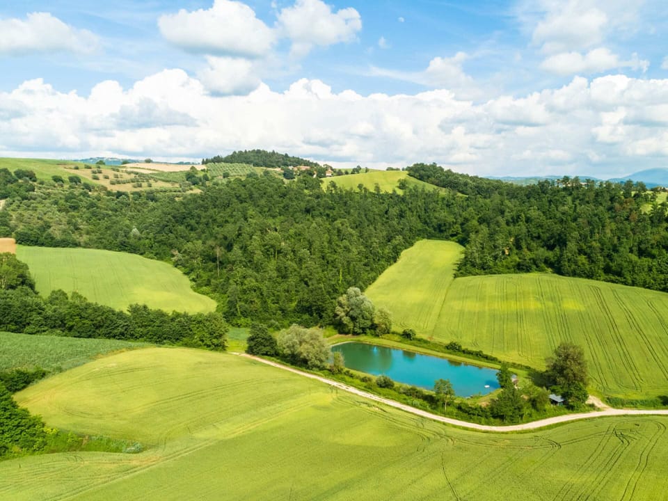 House | Pool | Outdoor pool