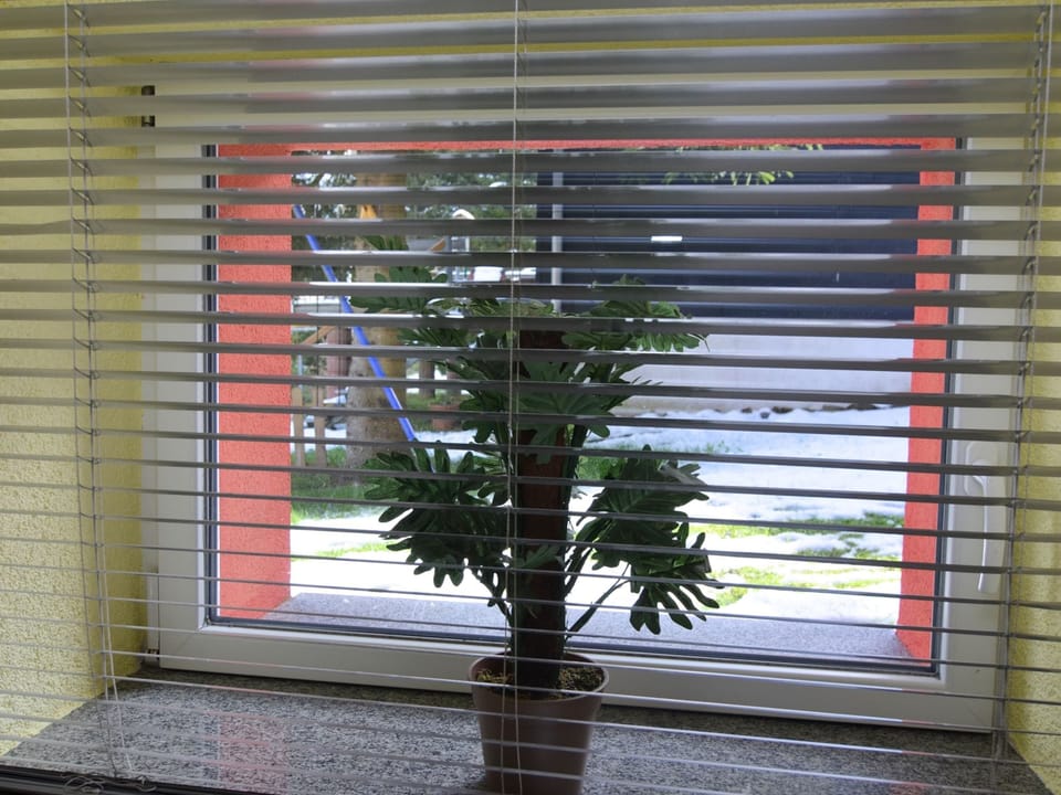 House | Interior detail
