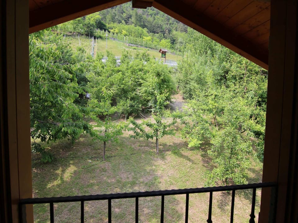 House | View from property