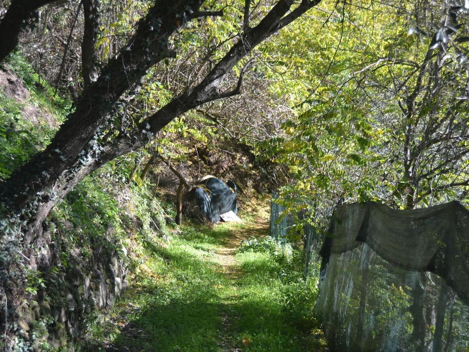 Cottage | View from property