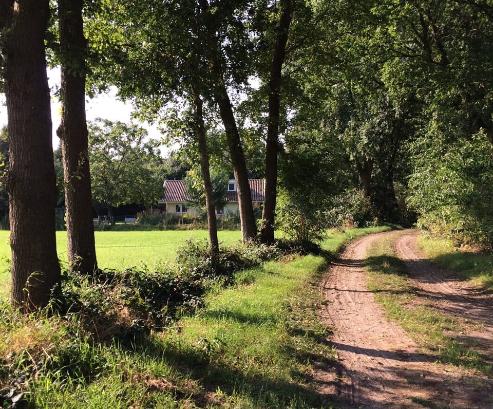 House | View from property