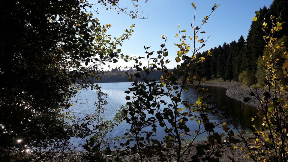 House | View from property