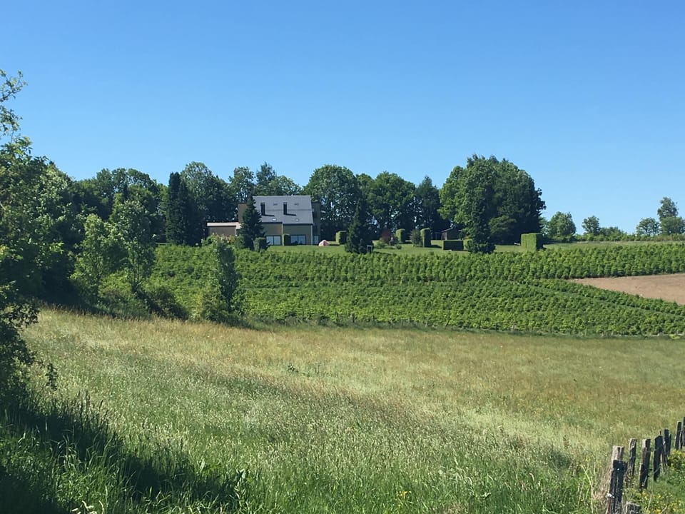 Apartment | View from property