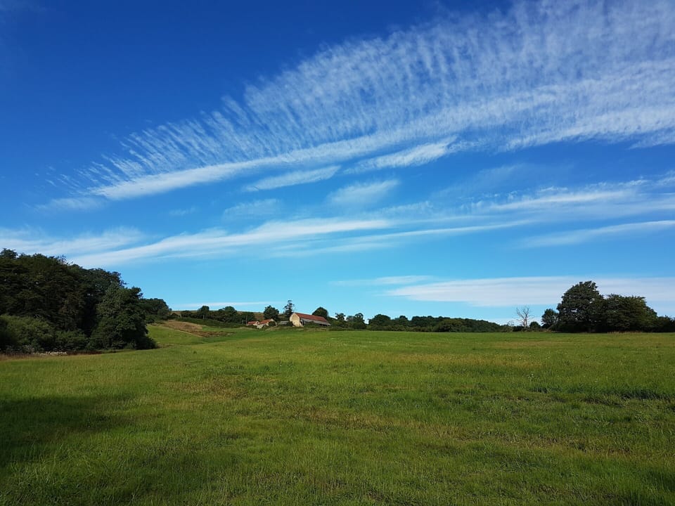 House | View from property
