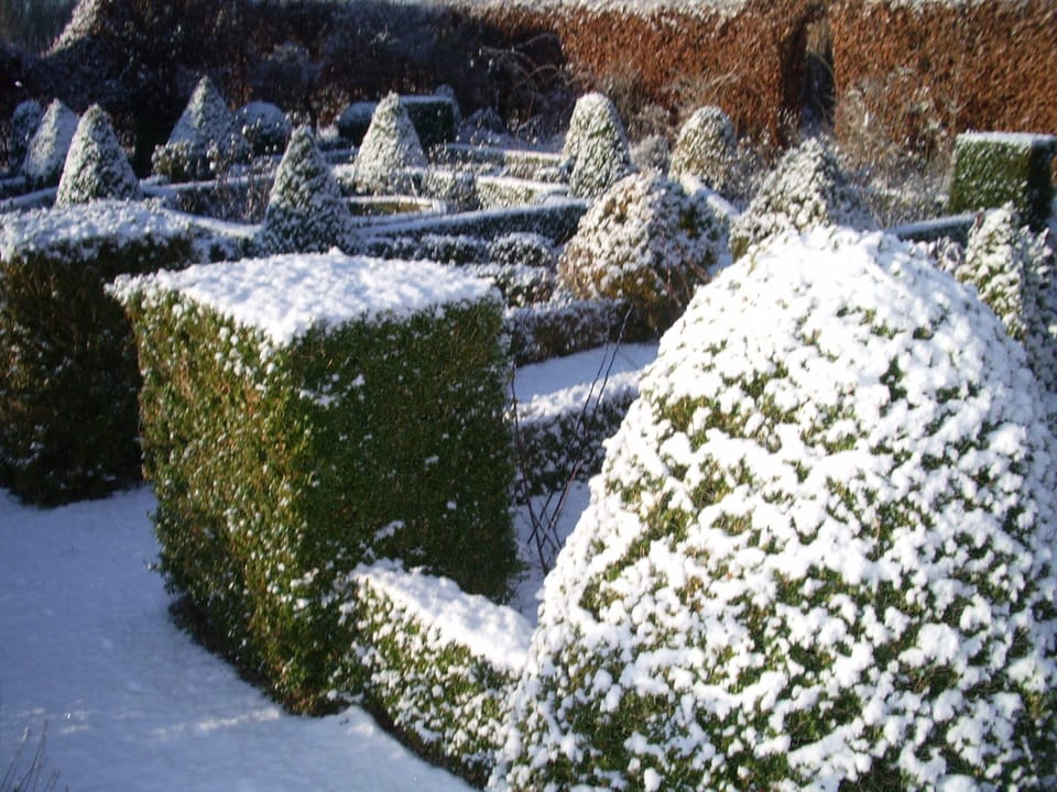 House | Garden