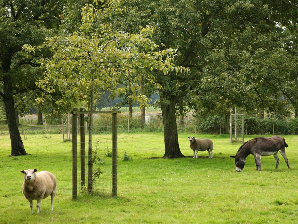 House | View from property