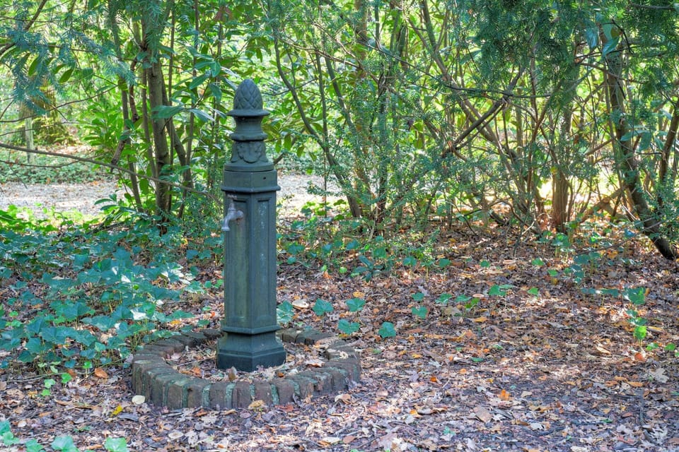 House | Garden
