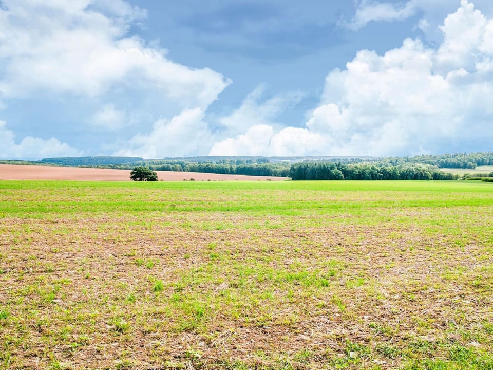Cottage | View from property