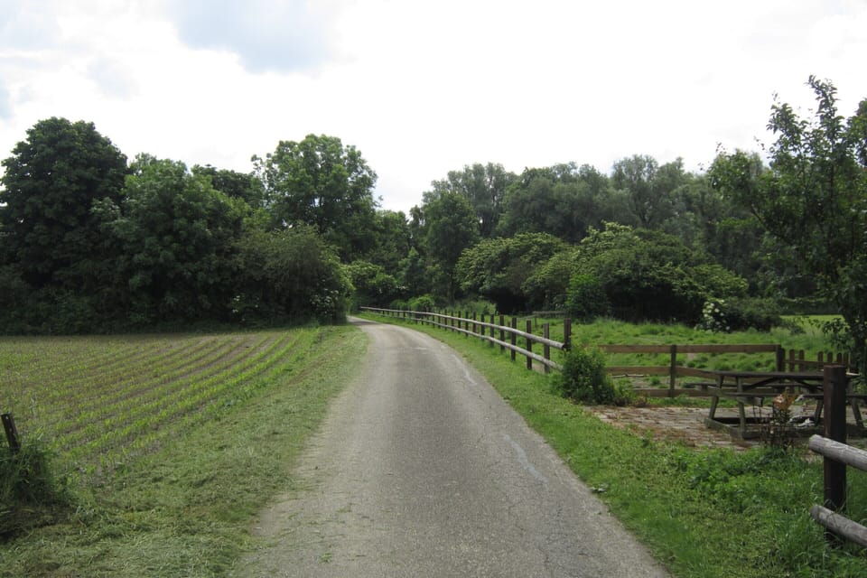 House | View from property