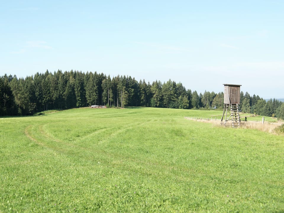 House | View from property