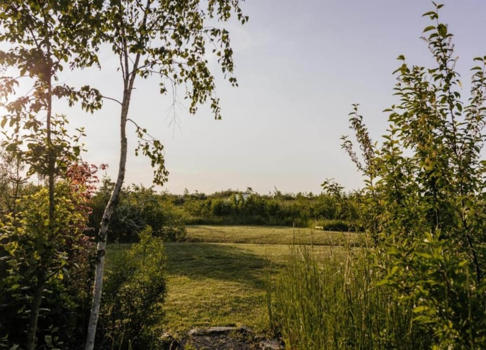House | View from property