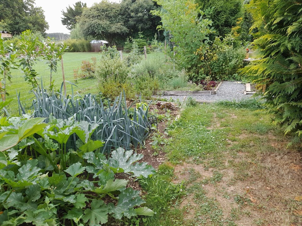 House | Garden