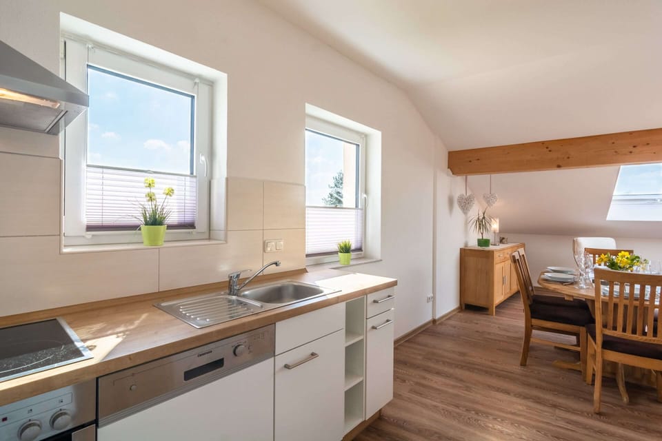 House | Private kitchen | Highchair