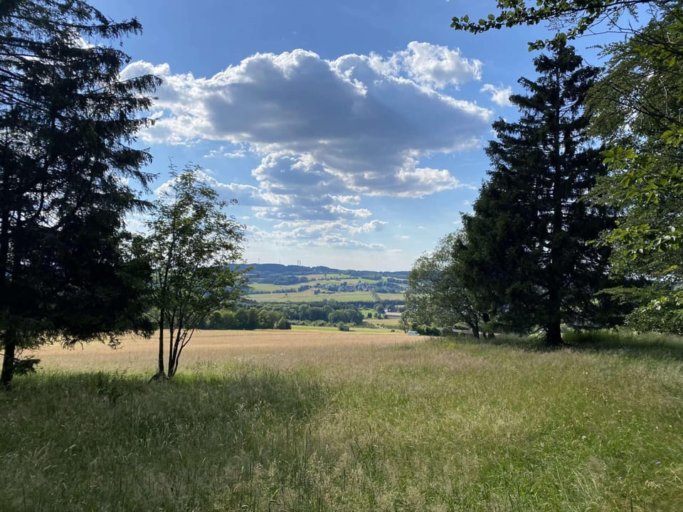 House | View from property